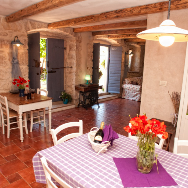 Kitchen, Villa Lauriana , Villa Lauriana with a pool, Sveti Lovreč Labinski, Istria, Croatia Sveti Lovreč Labinski