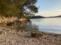 Esterno, Villa Lauriana con piscina, Sveti Lovreč Labinski, Istria, Croazia Sveti Lovreč Labinski